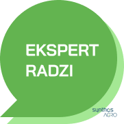 Ekspert radzi